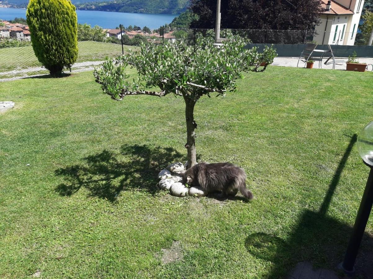 Séjour à la campagne Garzola